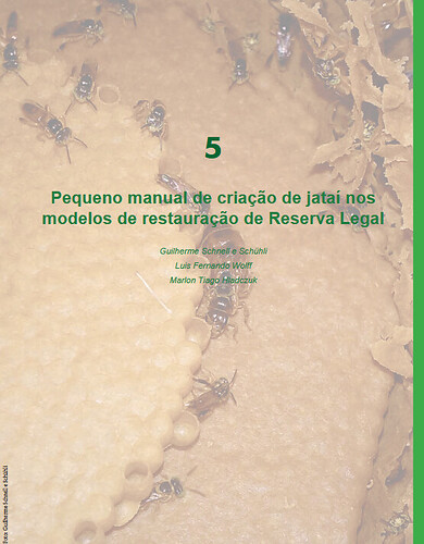2025-11-13.webp