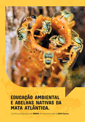 Captura-de-tela-2026-04-28-210009.webp